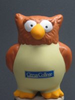 Citrus Owl