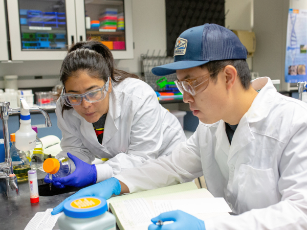 two students wearing lab coats, safety goggles and gloves conduct a science experiment in a laboratory, measuring liquid into a container while taking notes at a lab bench