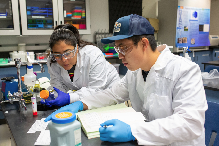 two students wearing lab coats and safety glasses working together during a science lab experiment