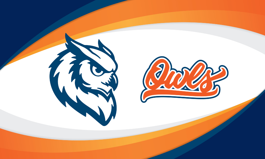 citrus owls athletics branding featuring stylized owl head logo in navy with orange script owls over layered orange gold and navy wave background