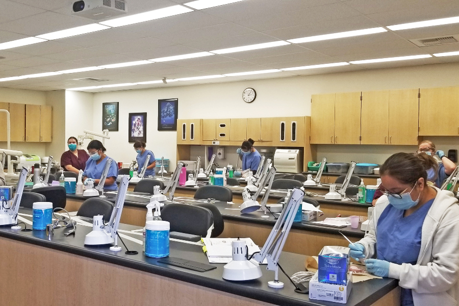 dental assisting students wearing masks and gloves complete hands-on coursework at socially distanced stations in a citrus college classroom