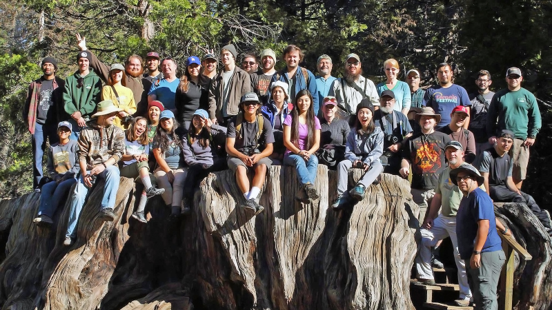group shot of the forestry class visiting the Sequoia National Park