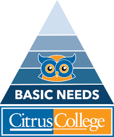 Basic Needs Ally logo