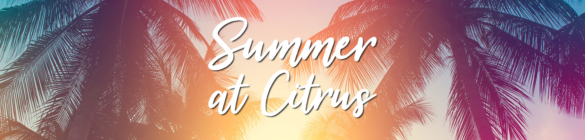 Summer at Citrus