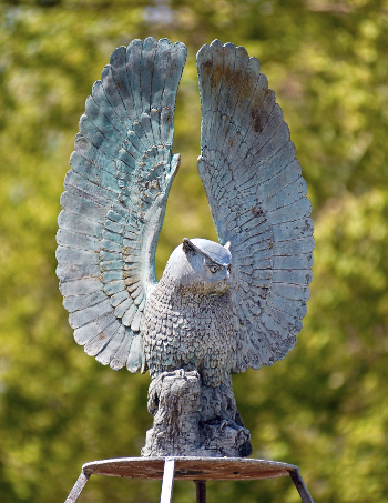 close up of the bronze owl