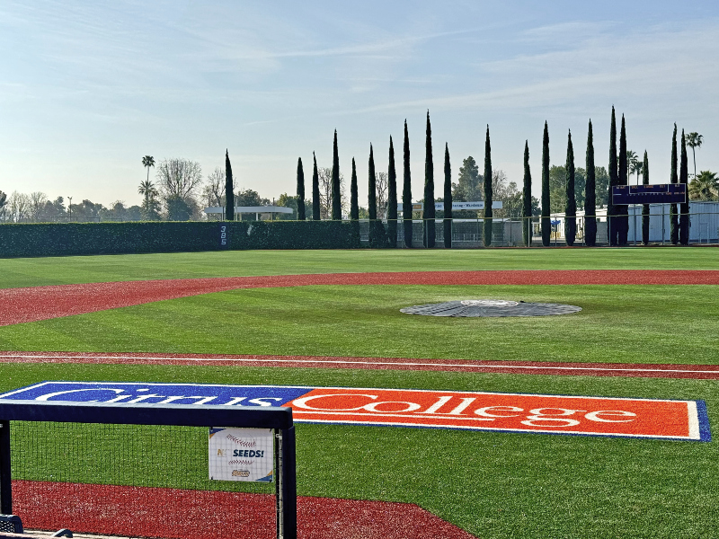 photo of the field from the dugout looking south