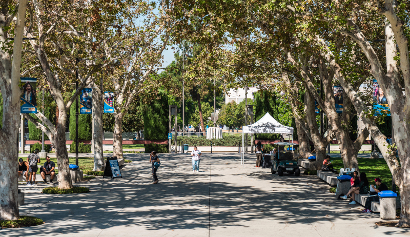 Campus Center Mall looking west toward the Owl Fountain