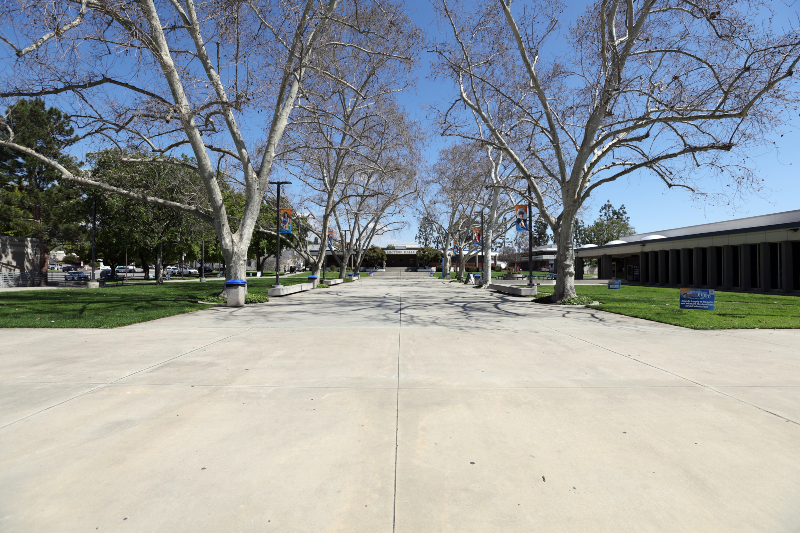 Looking east, down the Campus Center Mall from the Owl Fountain, with the Lecture Halls in the background