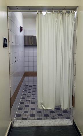 photo of shower with accessible shower with a curtain