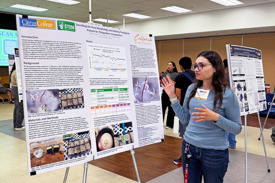 student presents a stem research poster during the citrus college stem research symposium