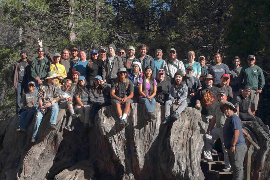 group shot of the forestry class visiting the Sequoia National Park