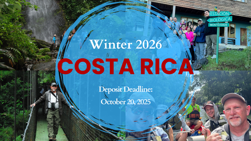 Click here to access information for Costa Rica for winter 2026