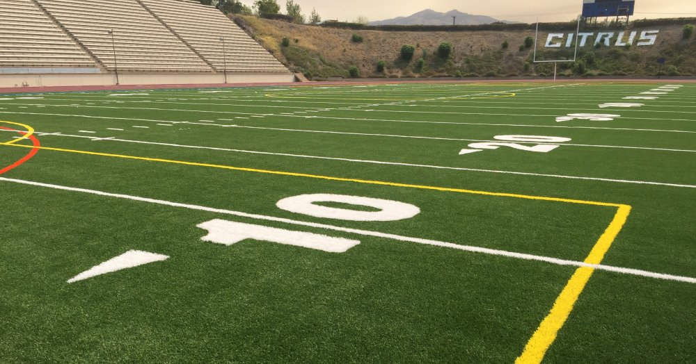 stadium turf