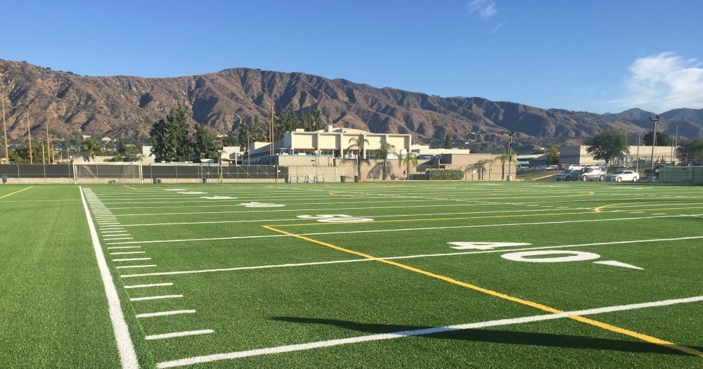 Practice field turf